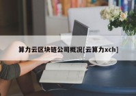 算力云区块链公司概况[云算力xch]